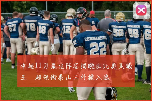 中超11月最佳阵容揭晓法比奥吴曦王燊超领衔泰山三外援入选