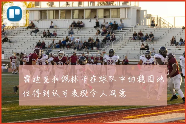 雷迪克和佩林卡在球队中的稳固地位得到认可表现令人满意