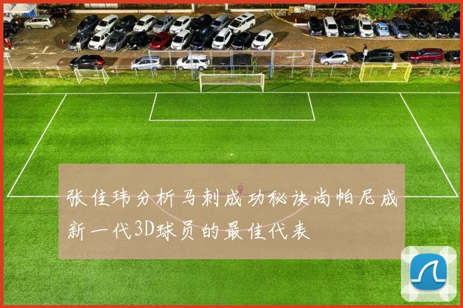 张佳玮分析马刺成功秘诀尚帕尼成新一代3D球员的最佳代表