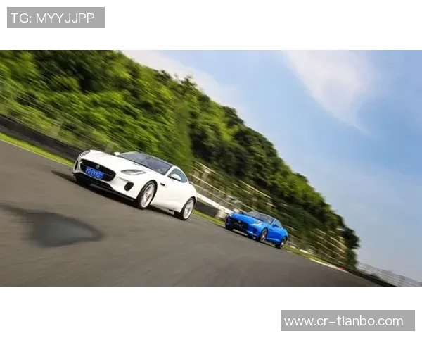 东契奇训练后带队友团建体验保时捷专业赛道试驾乐趣